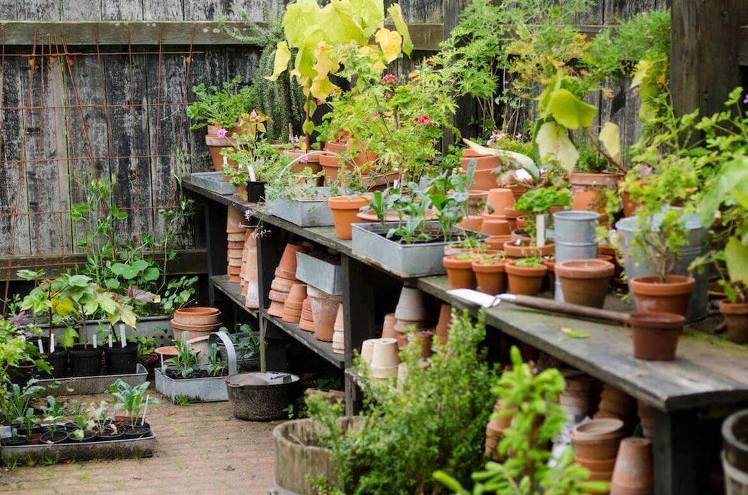 3 Gardening Habits to Cultivate - LGC