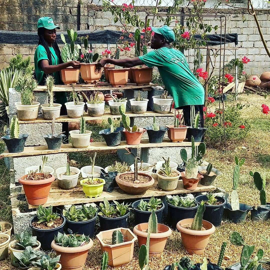 Your Stories - Abuja Horticulturist - LGC