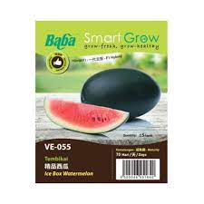 BABA Icebox Watermelon Hybrid F1 - LGC