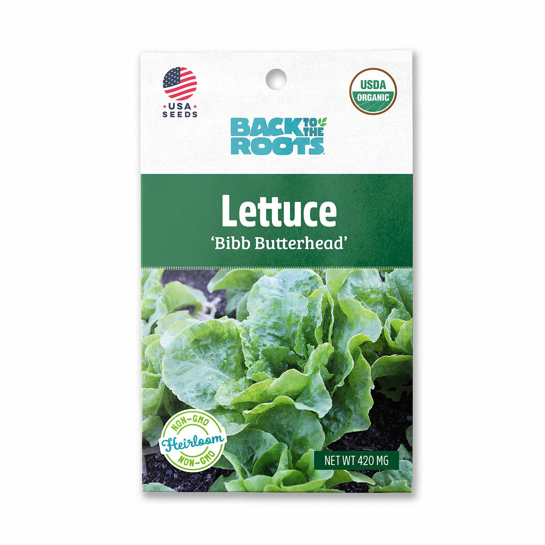 Back To The Roots Lettuce 'Bibb Butterhead' - LGC