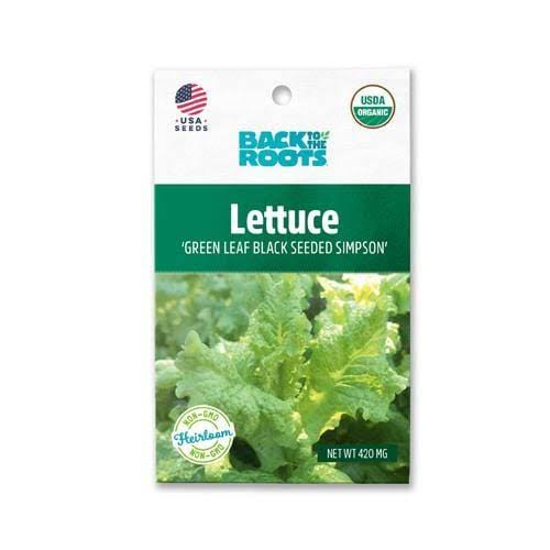Back To The Roots Lettuce 'Green Leaf Black Seeded Simpson' - LGC