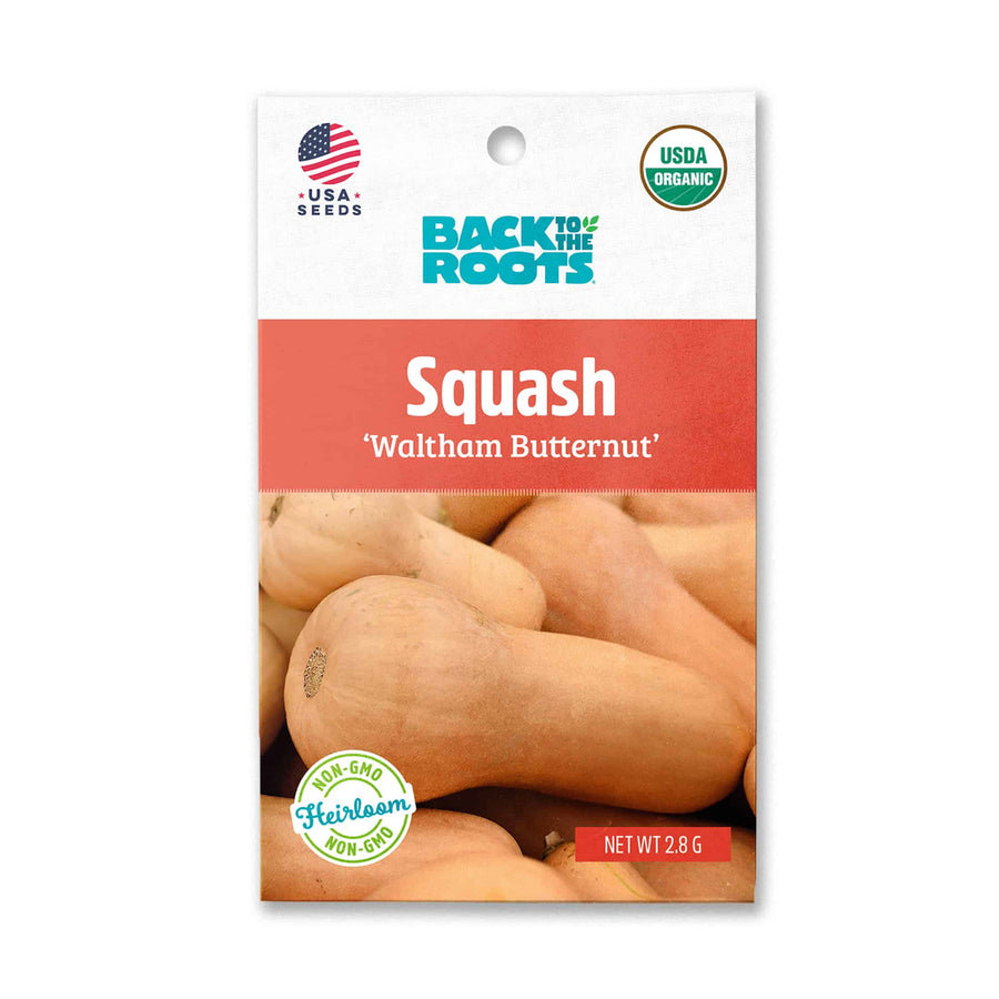 Back To The Roots Squash 'Waltham Butternut' - LGC
