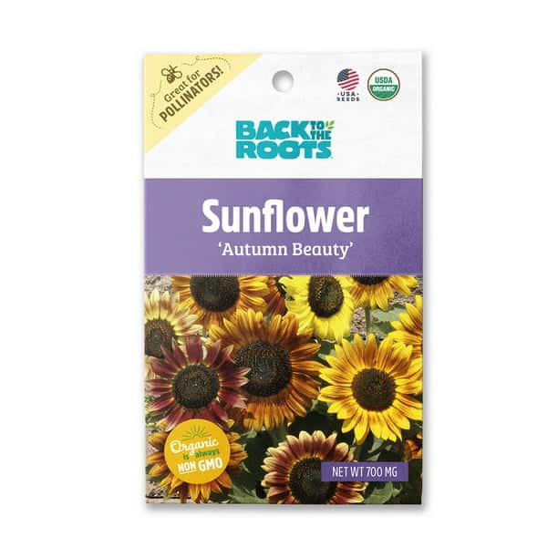 Back To The Roots Sunflower 'Autumn Beauty' - LGC