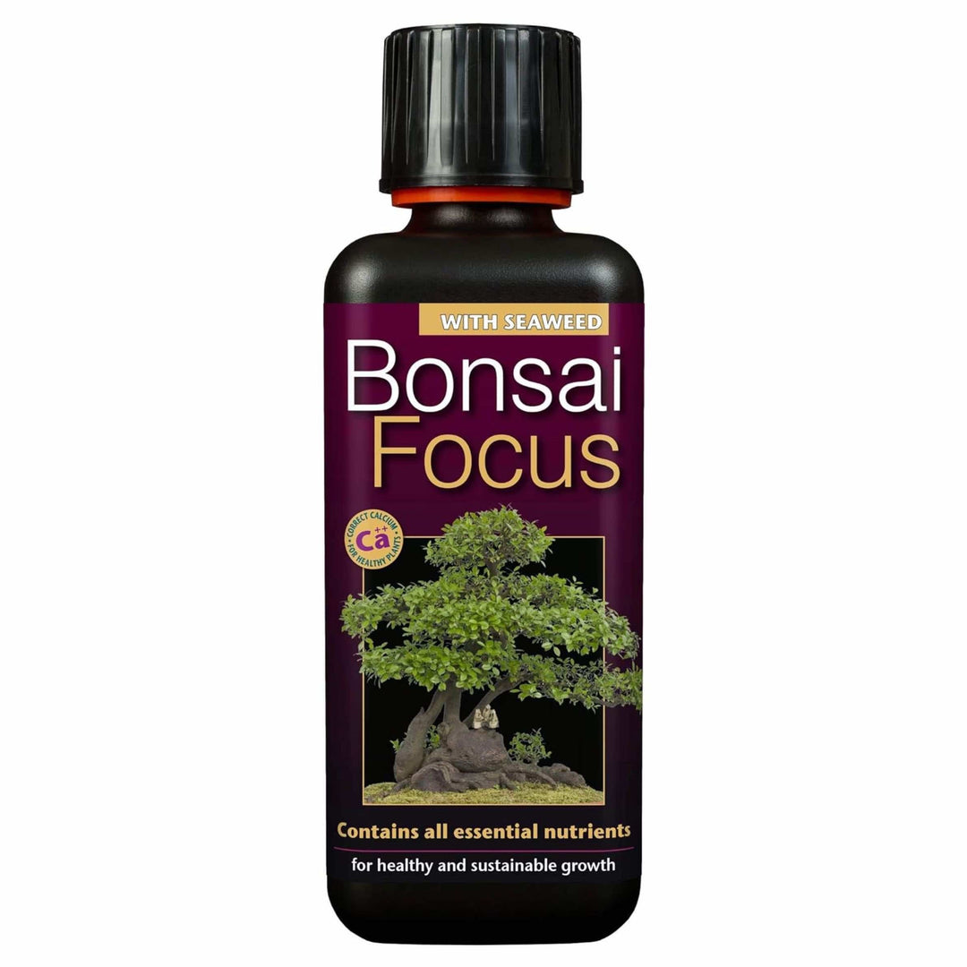 Bonsai Focus 300ml - LGC