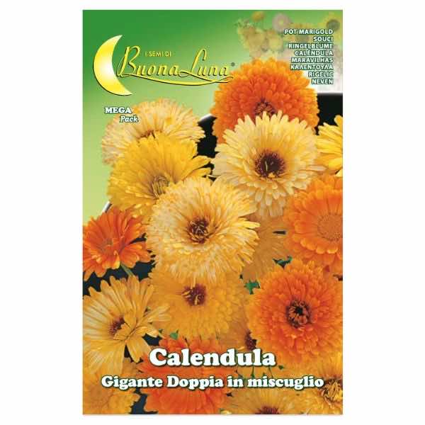 Buona Luna De Calendula Pot Marigold Seeds - LGC