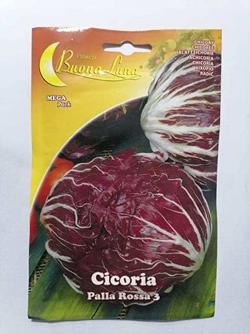 Buona Luna De Cicoria Chicory Seeds - LGC