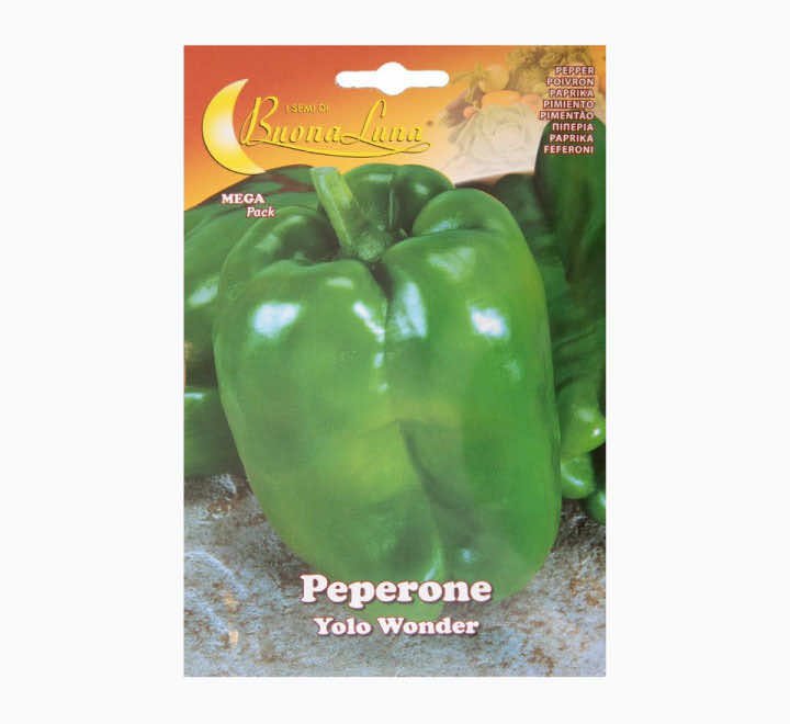 Buona Luna De Green Yolo Wonder Pepper Seeds - LGC