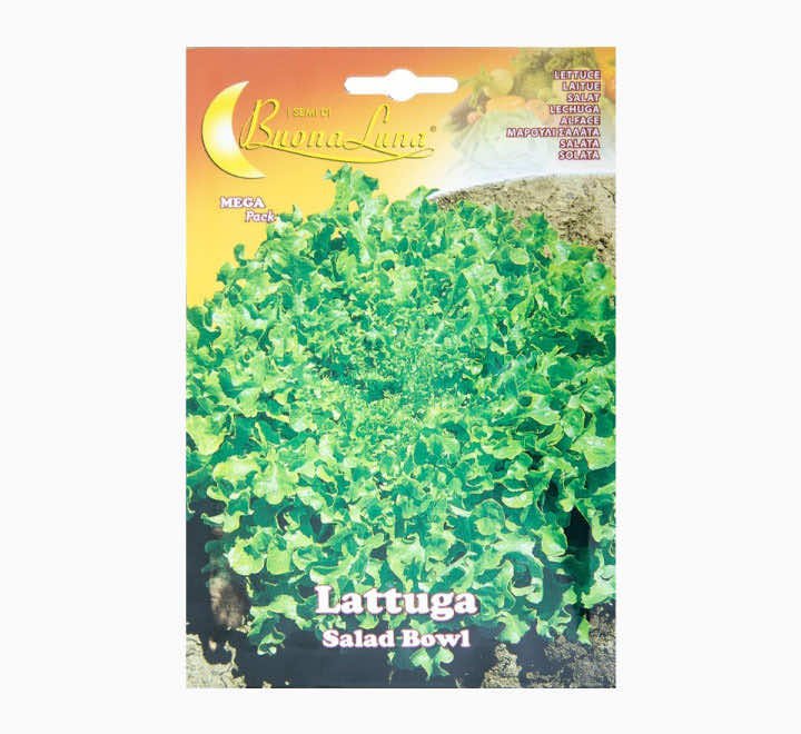 Buona Luna De Lettuce Salad Lattuga Seeds - LGC