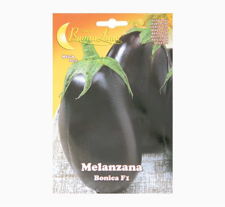 Buona Luna De Melanzana Eggplant Bonica F1 Seeds - LGC