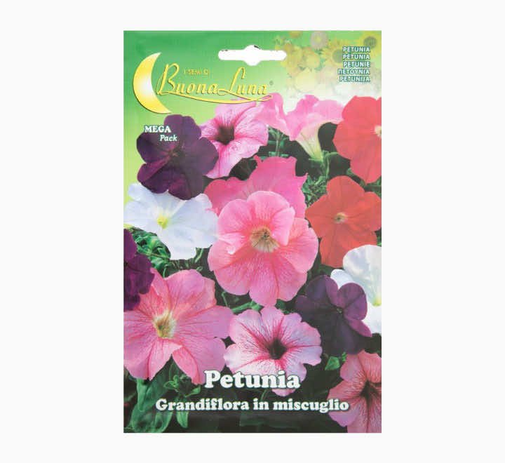 Buona Luna De Petunia Grandiflora Seeds - LGC