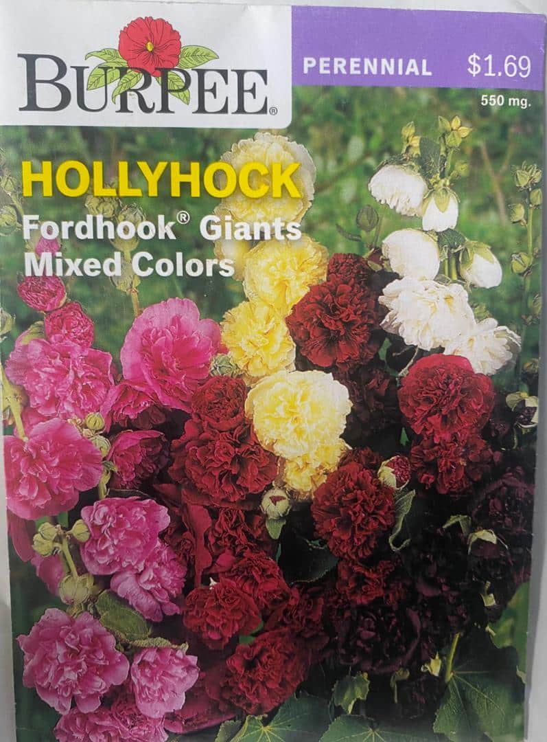 Burpee Hollyhock 'Fordhook Giants Mixed Colors - LGC