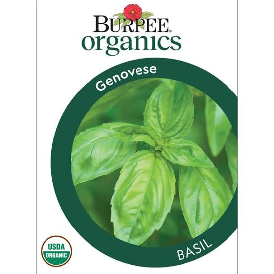 Burpee Organics Basil 'Genovese' - LGC