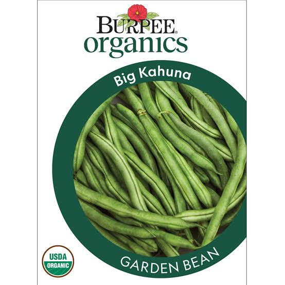 Burpee Organics Garden Bean 'Big Kahuna' - LGC
