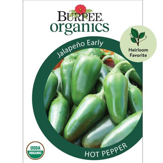 Burpee Organics Hot Pepper 'Jalapeno Early' - LGC