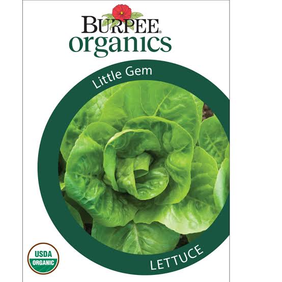 Burpee Organics Lettuce 'Little Gem' - LGC