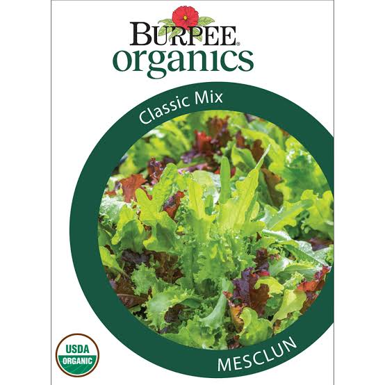 Burpee Organics Mesclun 'Classic Mix' - LGC