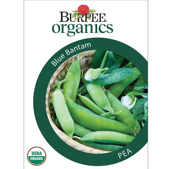 Burpee Organics Pea Blue Bantam - LGC