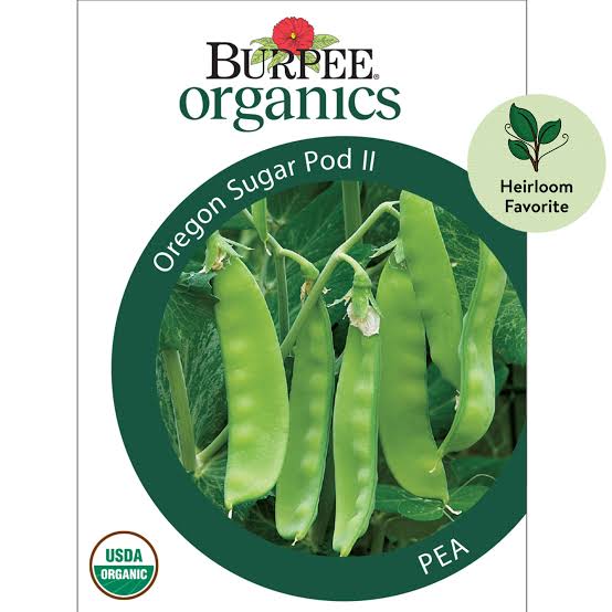 Burpee Organics Pea 'Oregon Sugar Pod II' - LGC
