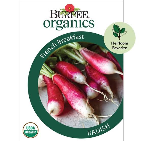 Burpee Organics Radish 'French Breakfast' - LGC