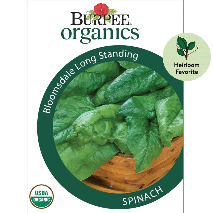 Burpee Organics Spinach 'Bloomsdale Long Standing' - LGC