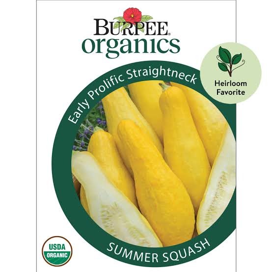 Burpee Organics Summer Squash - LGC