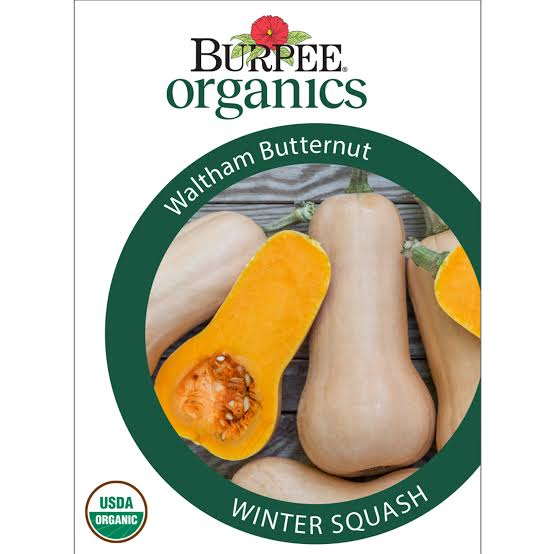 Burpee Organics Winter Squash 'Waltham Butternut' - LGC