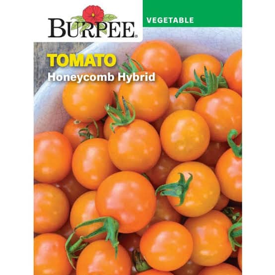 Burpee Tomato 'Honeycomb Hybrid' - LGC