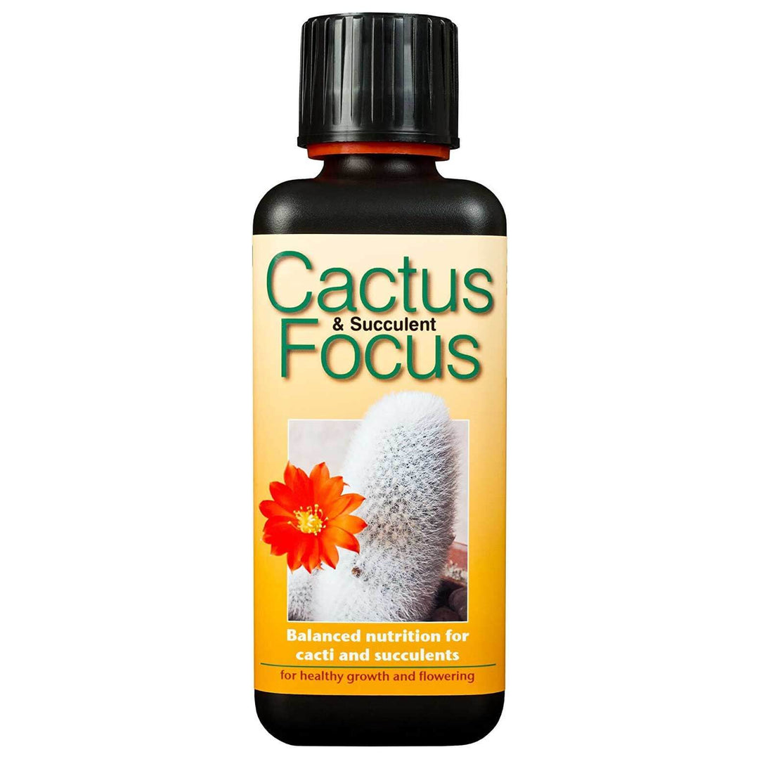 Cactus Focus 300ml - LGC