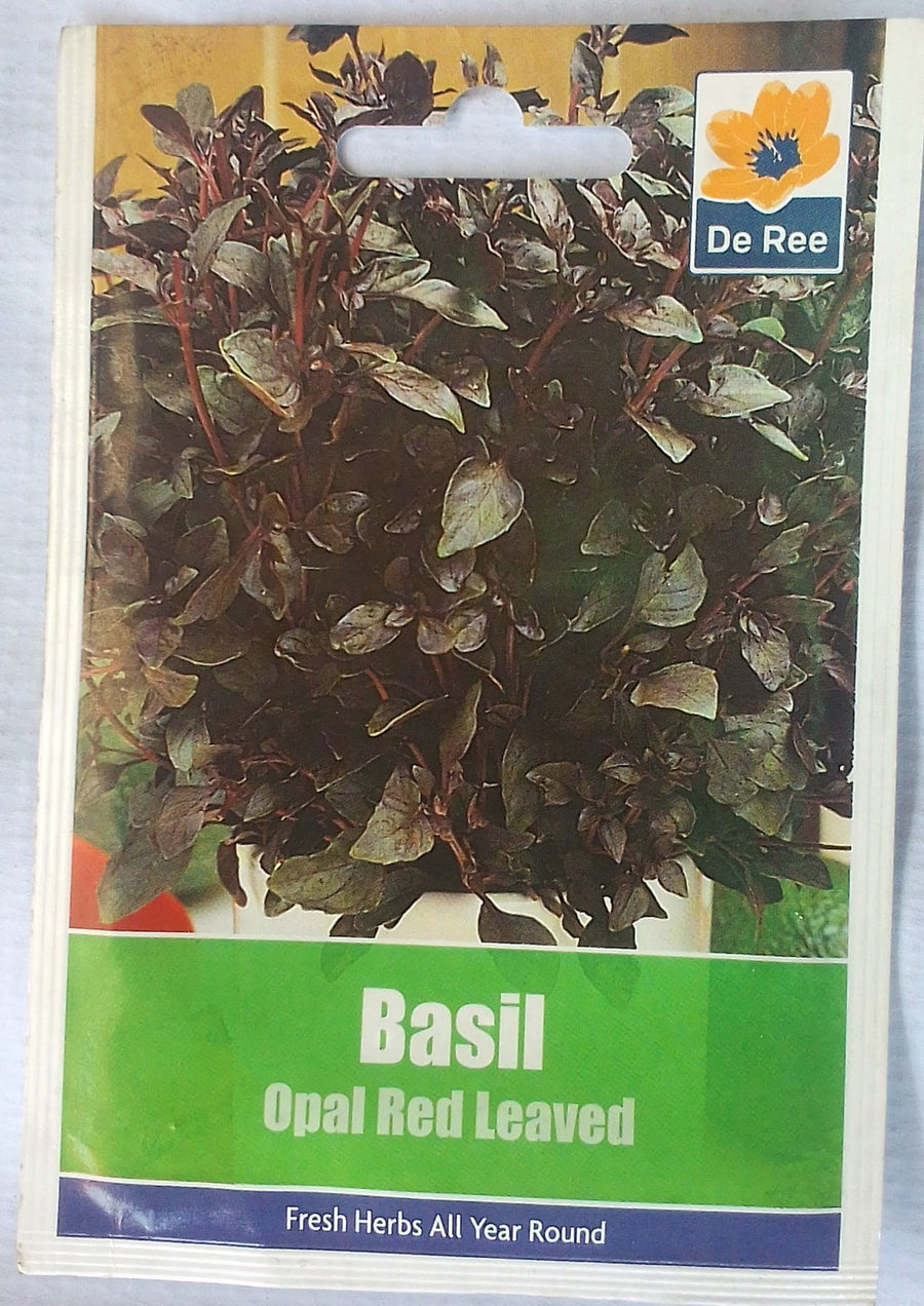 De Ree Basil Opal Red Leaved - LGC
