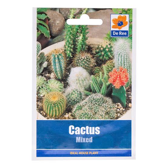 De Ree Cactus Mixed - LGC