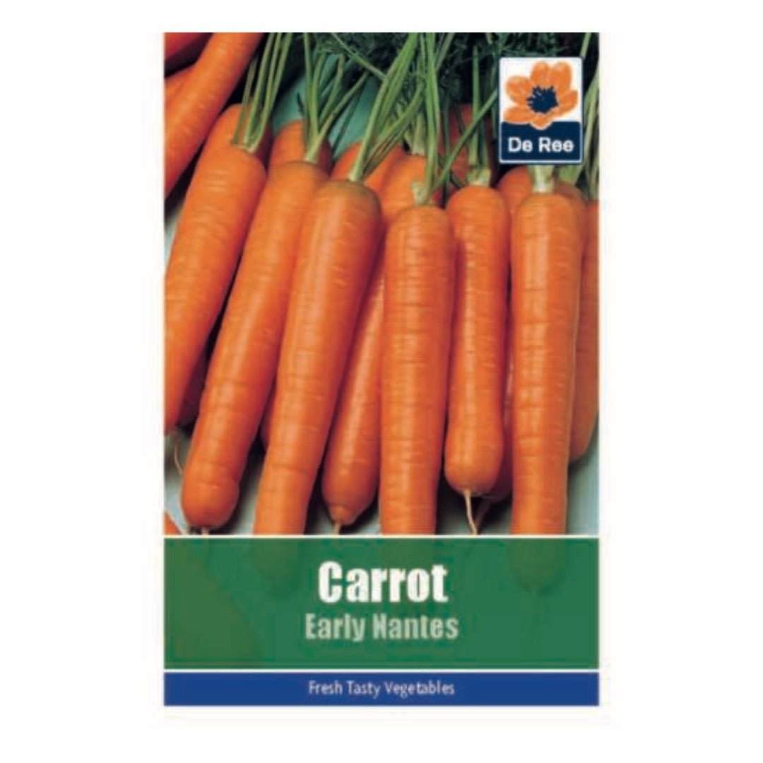 De Ree Carrot Early Nantes Seeds - LGC