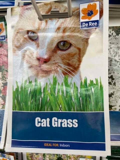 De Ree Cat Grass - LGC