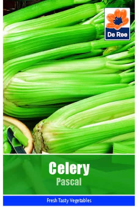 De Ree Celery - LGC