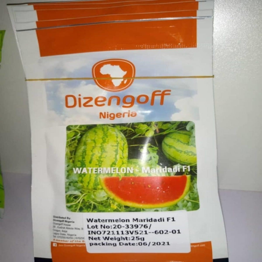 Dizengoff Watermelon Maridadi F1 - LGC