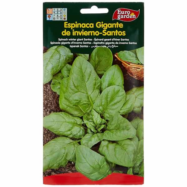 Euro Garden Spinach 0114 Seeds - LGC