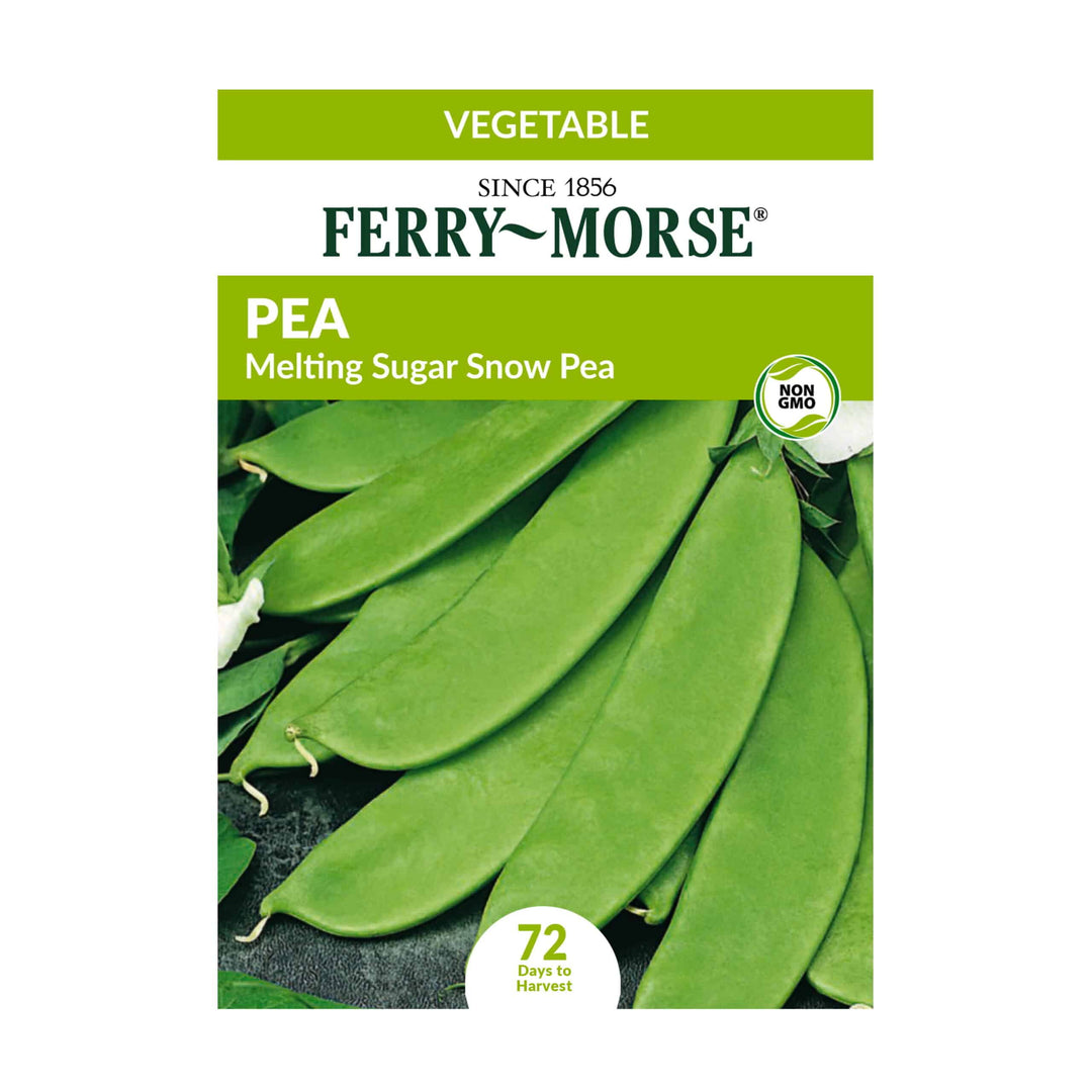 Ferry Morse Pea 'Melting Sugar Snow Pea' - LGC