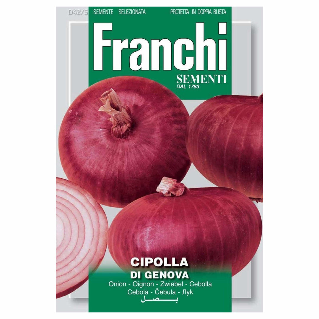 Franchi Cipolla Di Genova Onion Seeds - LGC