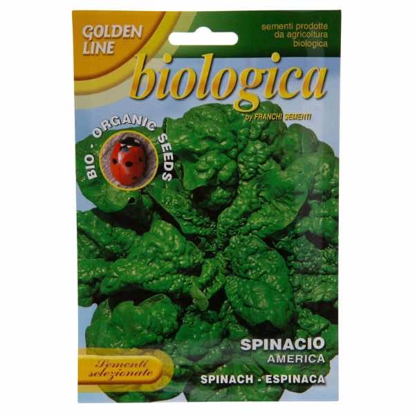 Golden Line Spinacio America Spinach Seeds - LGC