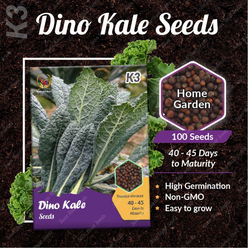 Italian Dino Kale - LGC
