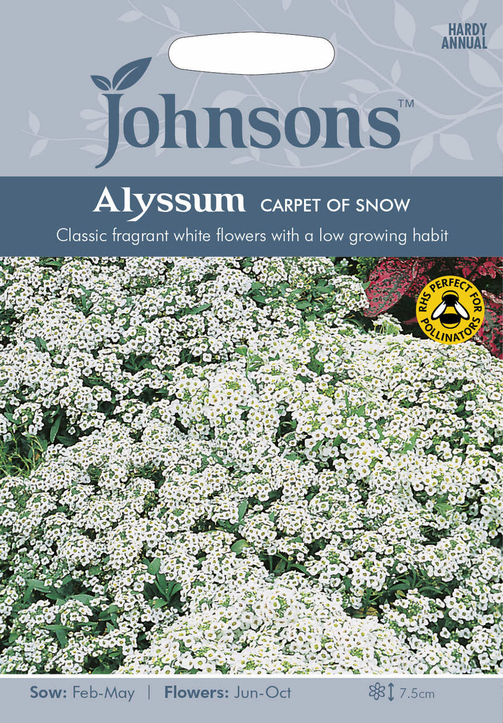 Johnsons ALYSSUM Carpet of Snow - LGC