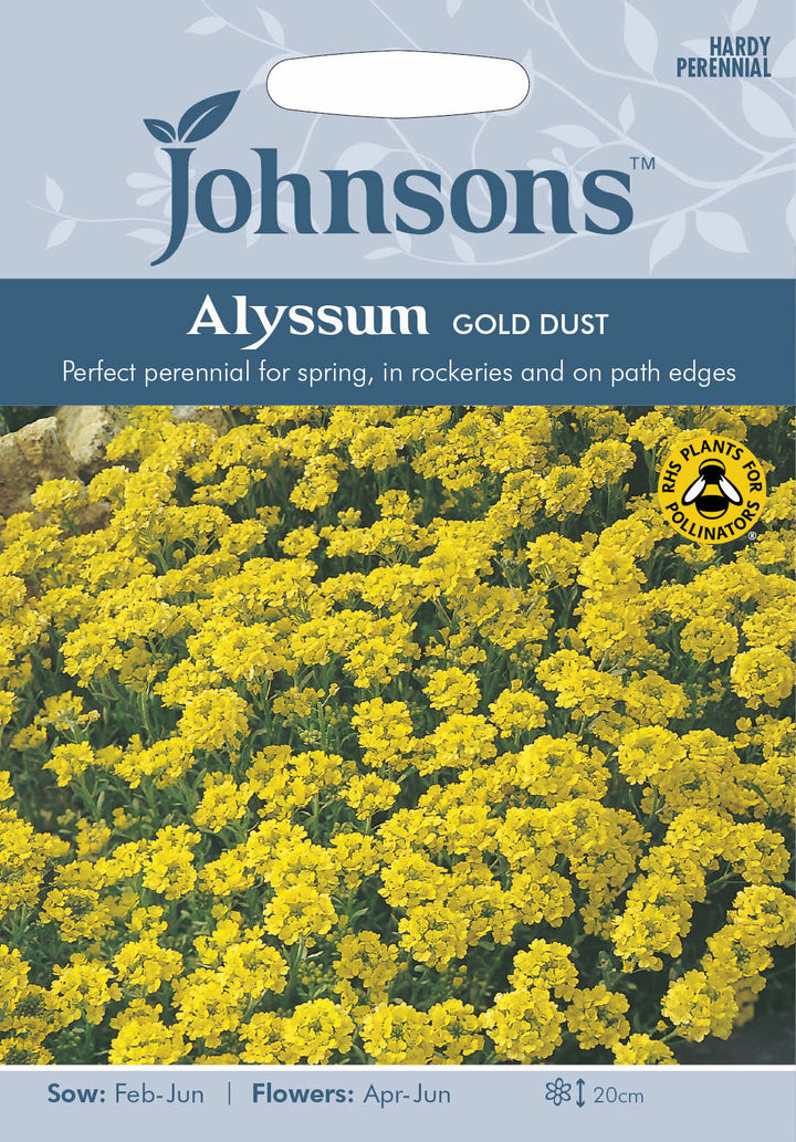 Johnsons ALYSSUM Saxatile Gold Dust - LGC