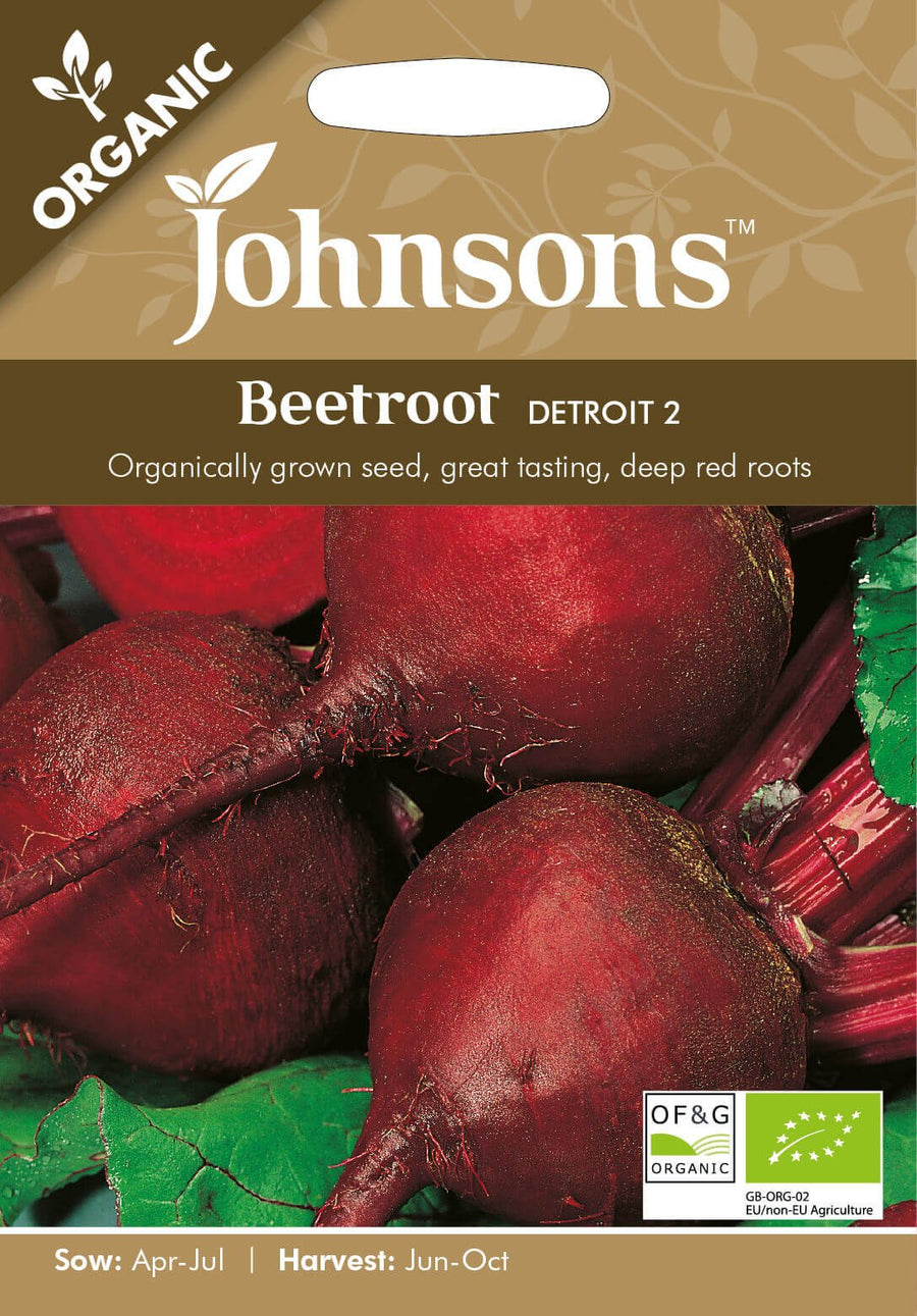 Johnsons BEETROOT Detroit 2 (ORGANIC SEED) Seeds - LGC
