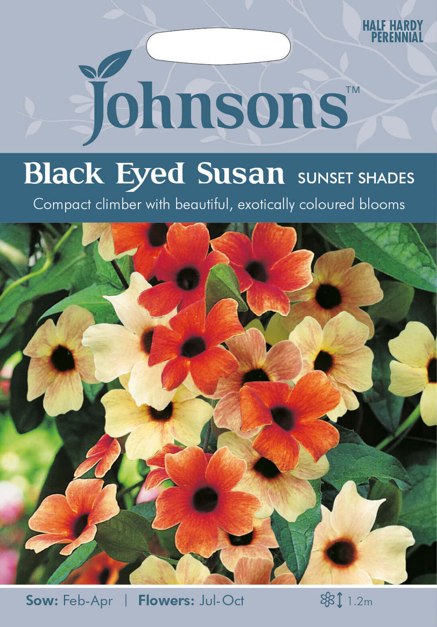 Johnsons BLACK EYED SUSAN Sunset Shades Seeds - LGC