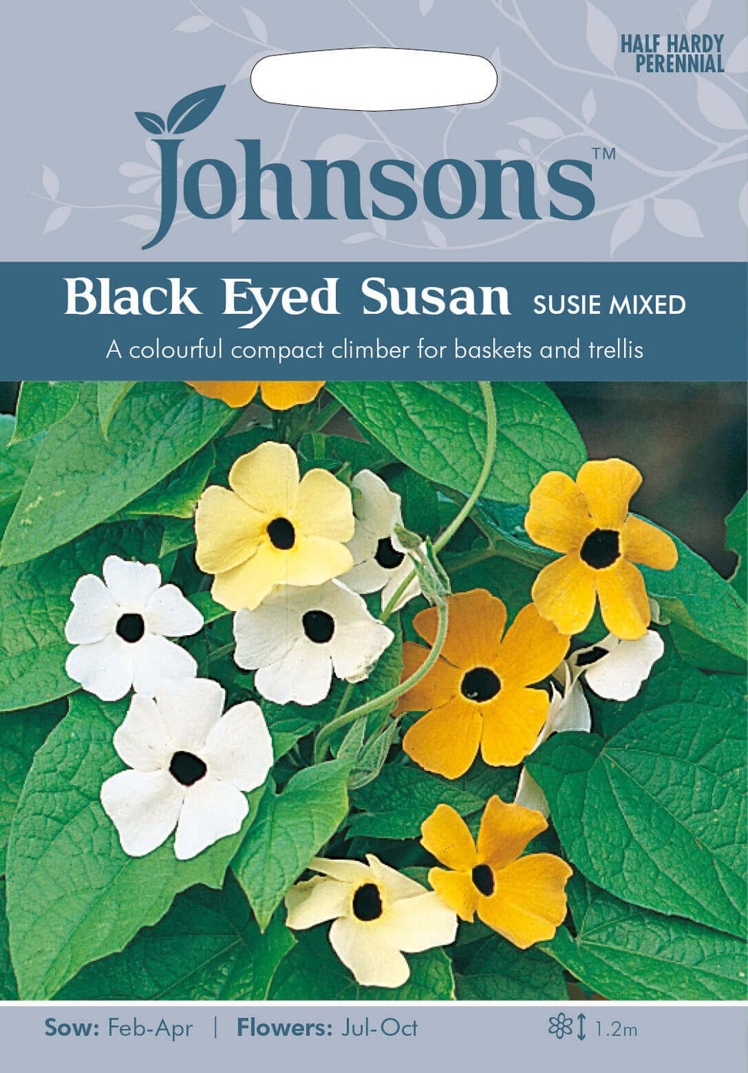 Johnsons BLACK EYED SUSAN Susie Mixed Seeds - LGC