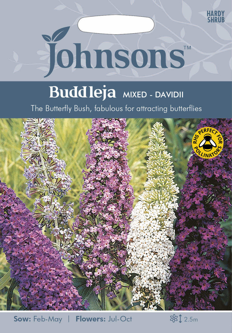 Johnsons BUDDLEJA davidii mixed Seeds - LGC