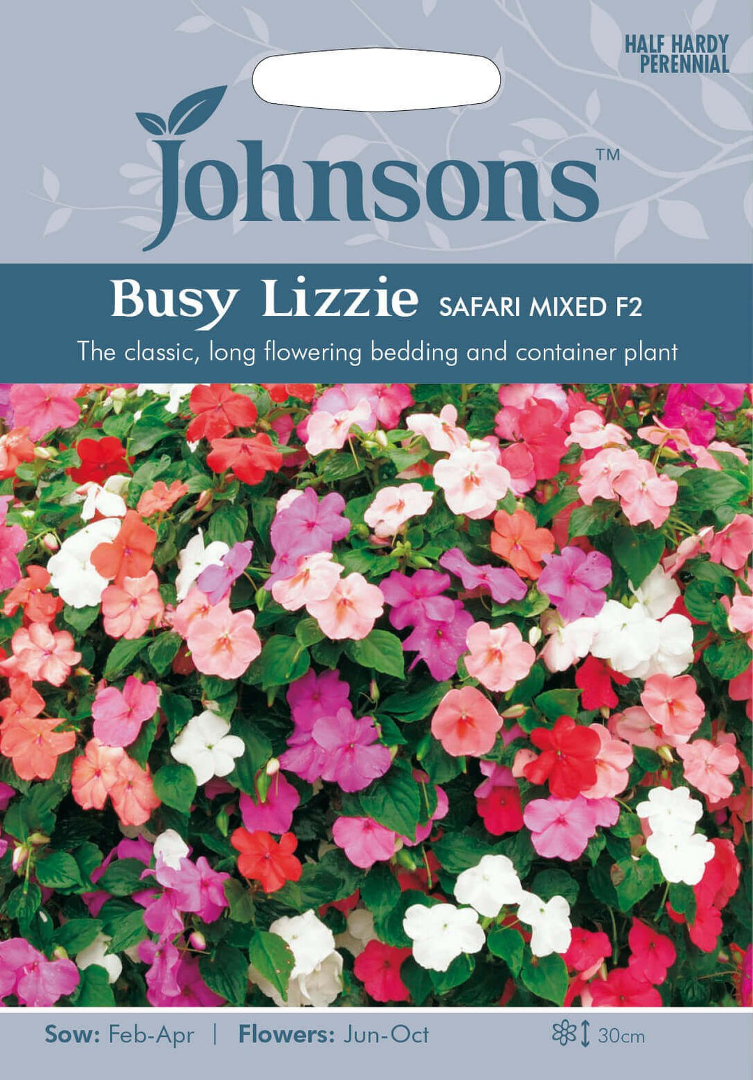 Johnsons BUSY LIZZIE Safari Mixed F2 Seeds - LGC