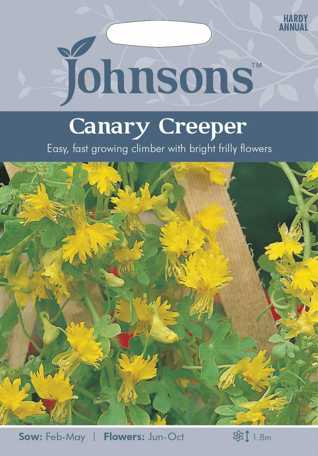 Johnsons CANARY CREEPER Seeds - LGC