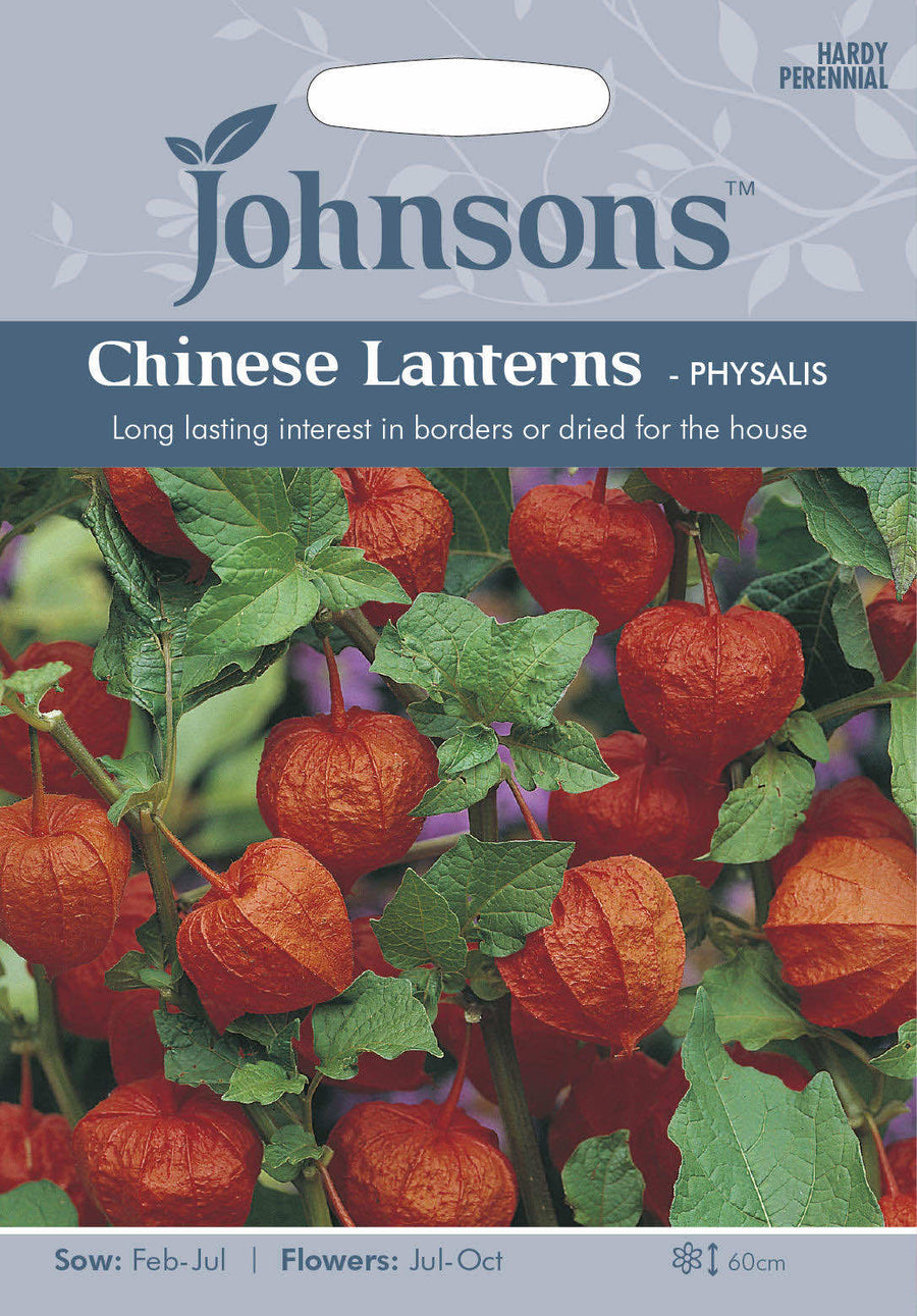 Johnsons CHINESE LANTERNS - Physalis Seeds - LGC