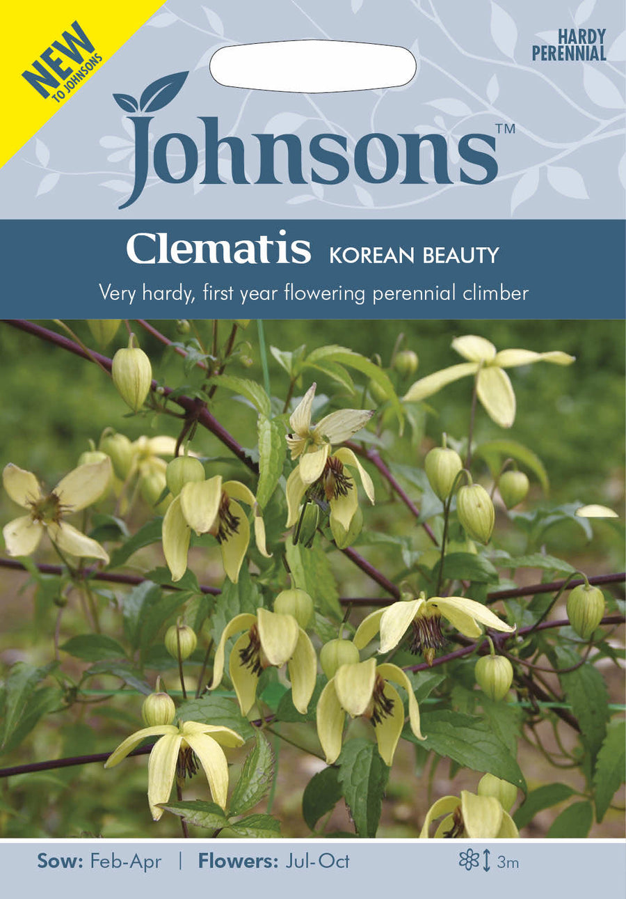 Johnsons CLEMATIS chiisanensis Korean Beauty - LGC