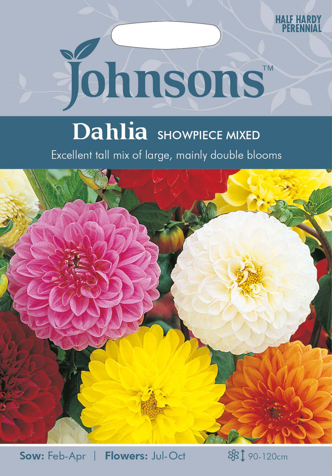 Johnsons DAHLIA Showpiece Mixed Seeds - LGC